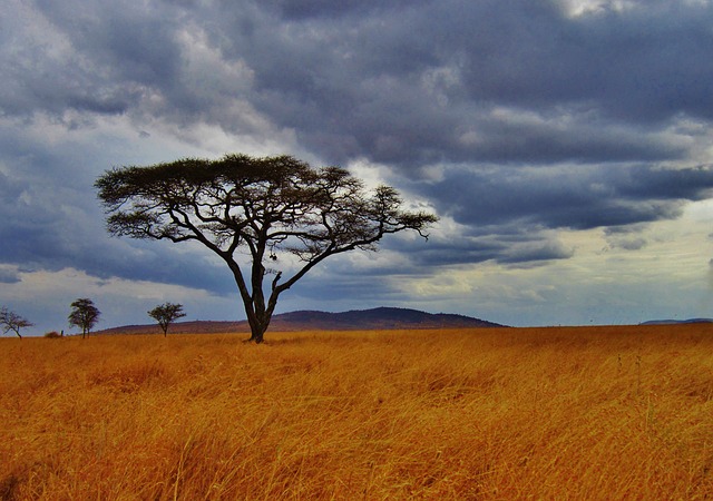 Le cratère du Ngorongoro en tanzanie
