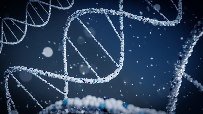 Analyse génétique et représentation de l'ADN