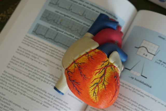 Santé cardiovasculaire